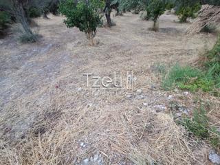 Οικόπεδο 620 τ.μ. για πώληση, Αχαΐα, Μεσσατίδα-thumb-10