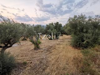 Οικόπεδο 620 τ.μ. για πώληση, Αχαΐα, Μεσσατίδα-thumb-11