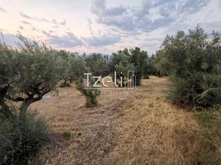 Οικόπεδο 620 τ.μ. για πώληση, Αχαΐα, Μεσσατίδα-thumb-13