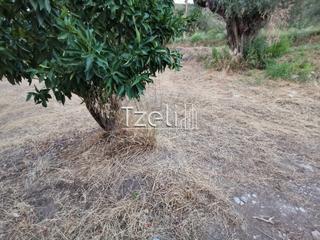Οικόπεδο 620 τ.μ. για πώληση, Αχαΐα, Μεσσατίδα-thumb-14
