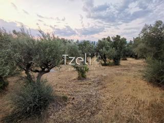 Οικόπεδο 620 τ.μ. για πώληση, Αχαΐα, Μεσσατίδα-thumb-15