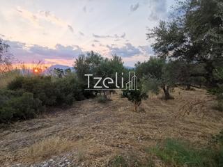 Οικόπεδο 620 τ.μ. για πώληση, Αχαΐα, Μεσσατίδα-thumb-16