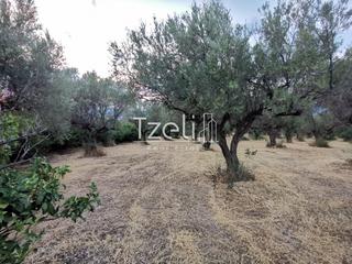 Οικόπεδο 620 τ.μ. για πώληση, Αχαΐα, Μεσσατίδα-thumb-17