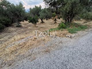 Οικόπεδο 620 τ.μ. για πώληση, Αχαΐα, Μεσσατίδα-thumb-18