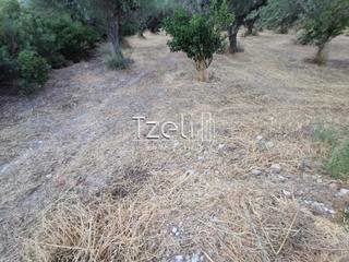 Οικόπεδο 620 τ.μ. για πώληση, Αχαΐα, Μεσσατίδα-thumb-19