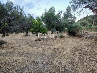 Οικόπεδο 620 τ.μ. για πώληση, Αχαΐα, Μεσσατίδα-thumb-20