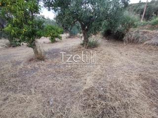 Οικόπεδο 620 τ.μ. για πώληση, Αχαΐα, Μεσσατίδα-thumb-22