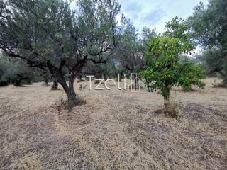 Οικόπεδο 620 τ.μ. για πώληση, Αχαΐα, Μεσσατίδα-thumb-23