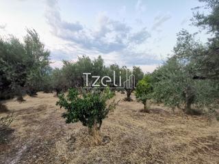 Οικόπεδο 620 τ.μ. για πώληση, Αχαΐα, Μεσσατίδα-thumb-26