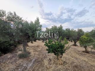 Οικόπεδο 620 τ.μ. για πώληση, Αχαΐα, Μεσσατίδα-thumb-27