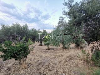 Οικόπεδο 620 τ.μ. για πώληση, Αχαΐα, Μεσσατίδα-thumb-28