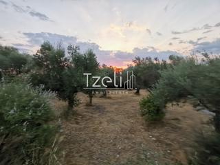 Οικόπεδο 620 τ.μ. για πώληση