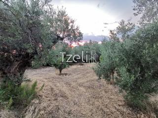 Οικόπεδο 620 τ.μ. για πώληση, Αχαΐα, Μεσσατίδα-thumb-1
