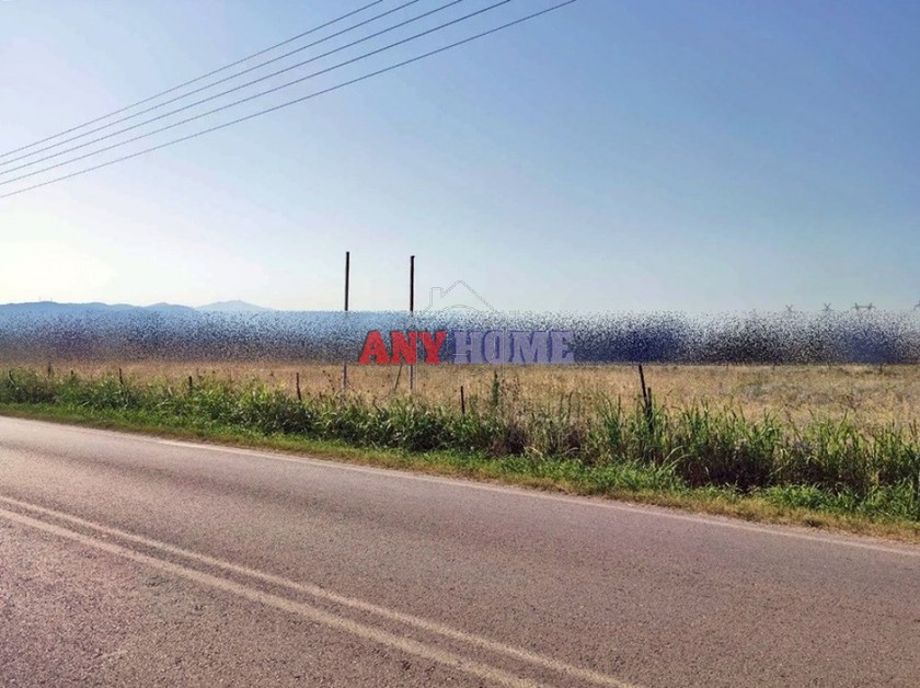 Αγροτεμάχια 10.500 τ.μ. για πώληση