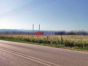 Αγροτεμάχια 10.500τ.μ. για πώληση-Ωραιόκαστρο » Βι.πα.