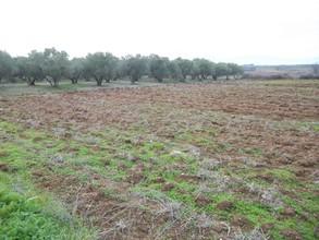 Αγροτεμάχια 2.960 τ.μ. για πώληση, Ν. Δράμας, Δοξάτο-thumb-3