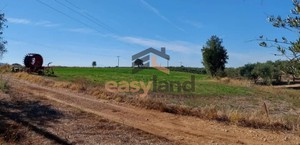 Land plot 13.000sqm for sale-Dytikis Achaias » Kamenitsa