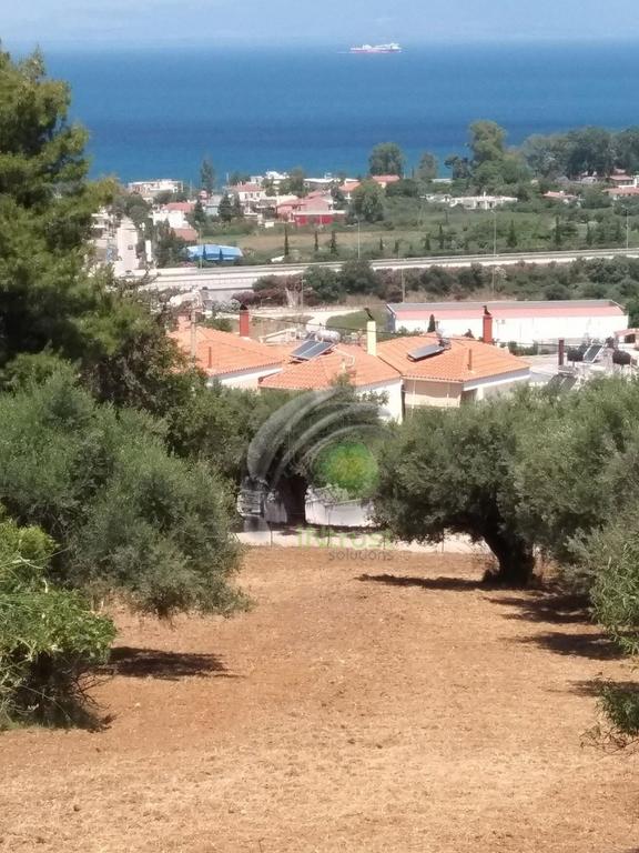 Οικόπεδο 3.600 τ.μ. για πώληση, Αχαΐα, Παραλία