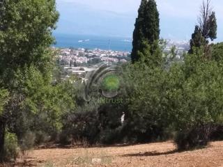 Οικόπεδο 3.600 τ.μ. για πώληση, Αχαΐα, Παραλία-thumb-4