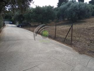 Οικόπεδο 3.600 τ.μ. για πώληση, Αχαΐα, Παραλία-thumb-6