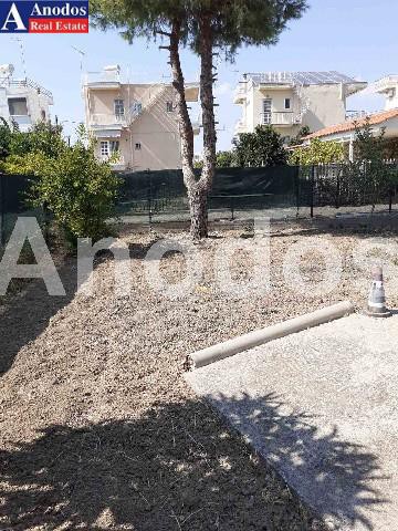 Οικόπεδο 300τ.μ. για πώληση-Ωρωπός » Κέντρο
