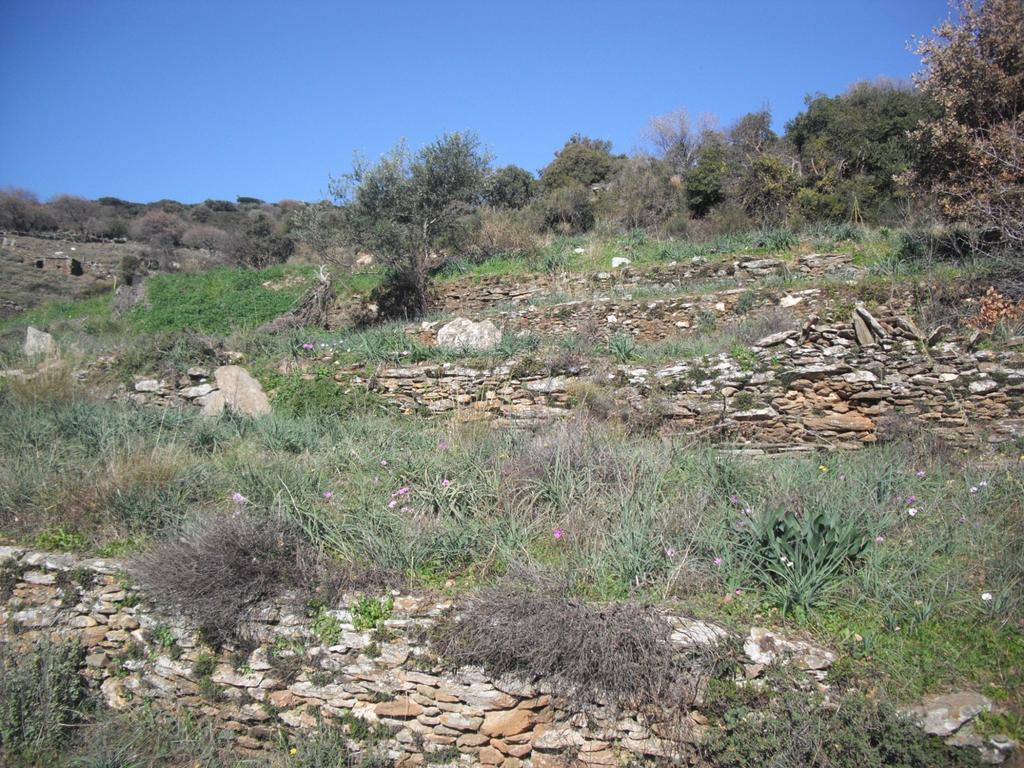 Αγροτεμάχια 0 τ.μ. προς πώληση, Χώρα Άνδρου