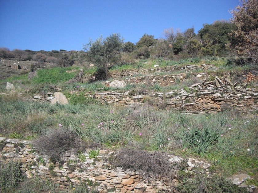 Parcel 4.800 sqm for sale