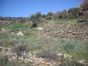 Αγροτεμάχια 4.800 τ.μ. για πώληση