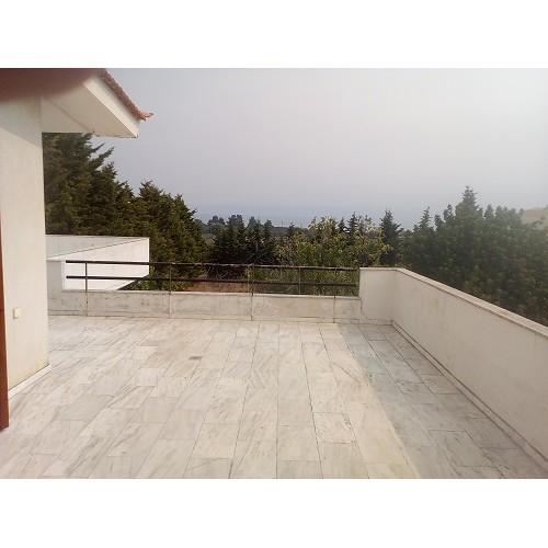 Μονοκατοικία 510 τ.μ. πρός πώληση, Φθιώτιδας, Δαφνούσες