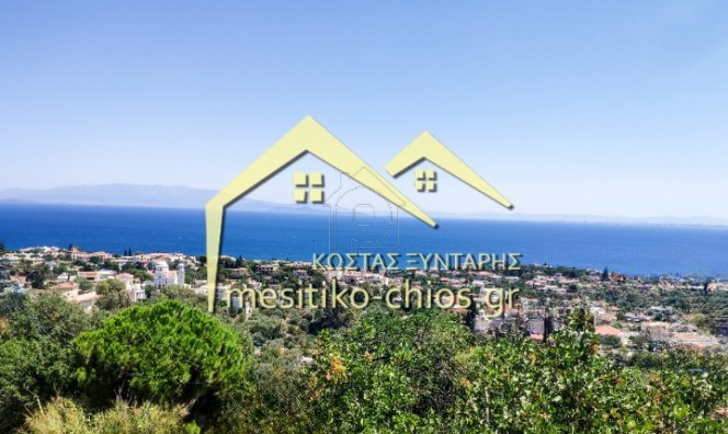 Μεζονέτα 240τ.μ. για πώληση-Χίος » Ομηρούπολη