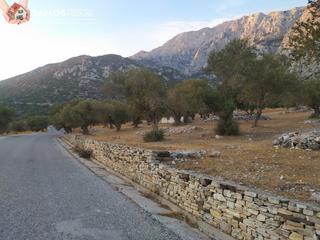 Οικόπεδο 19.240 τ.μ. για πώληση, Ν. Σάμου, Σάμος-thumb-2