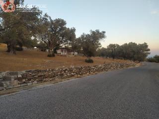 Οικόπεδο 19.240 τ.μ. για πώληση, Ν. Σάμου, Σάμος-thumb-3