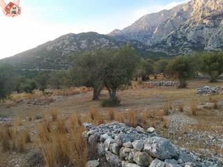 Οικόπεδο 19.240 τ.μ. για πώληση, Ν. Σάμου, Σάμος-thumb-5