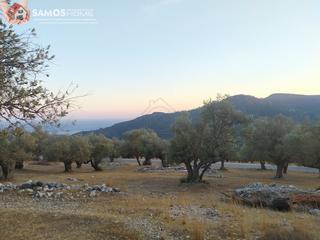 Οικόπεδο 19.240 τ.μ. για πώληση, Ν. Σάμου, Σάμος-thumb-6