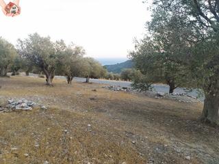 Οικόπεδο 19.240 τ.μ. για πώληση, Ν. Σάμου, Σάμος-thumb-7