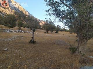 Οικόπεδο 19.240 τ.μ. για πώληση, Ν. Σάμου, Σάμος-thumb-8