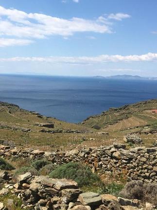Αγροτεμάχια 4.318 τ.μ. για πώληση, Κυκλάδες, Τήνος