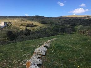 Αγροτεμάχια 4.318 τ.μ. για πώληση, Κυκλάδες, Τήνος-thumb-3