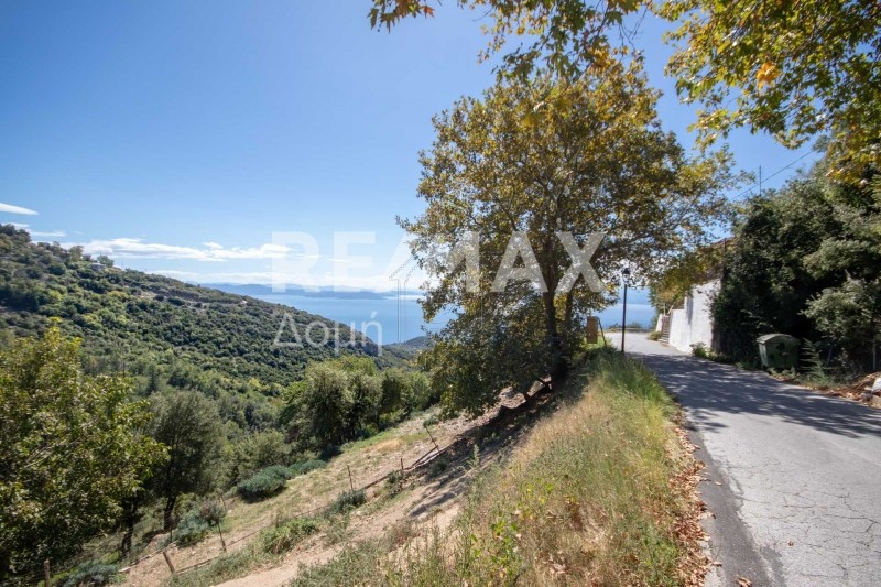 Parcel 2.355sqm for sale-Milies » Agios Georgios Nileias