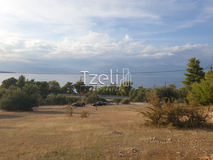Οικόπεδο 4.500 τ.μ. για πώληση