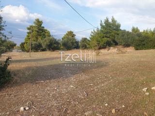 Οικόπεδο 4.500 τ.μ. για πώληση, Αχαΐα, Ρίο-thumb-1