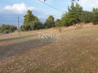 Οικόπεδο 4.500 τ.μ. για πώληση, Αχαΐα, Ρίο-thumb-4