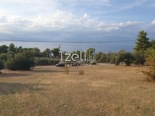Οικόπεδο 4.500 τ.μ. για πώληση, Αχαΐα, Ρίο-thumb-5