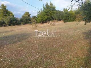 Οικόπεδο 4.500 τ.μ. για πώληση, Αχαΐα, Ρίο-thumb-7