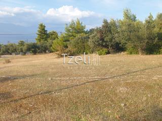 Οικόπεδο 4.500 τ.μ. για πώληση, Αχαΐα, Ρίο-thumb-8