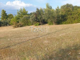 Οικόπεδο 4.500 τ.μ. για πώληση, Αχαΐα, Ρίο-thumb-11