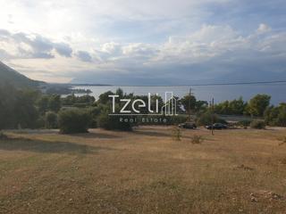 Οικόπεδο 4.500 τ.μ. για πώληση, Αχαΐα, Ρίο-thumb-12