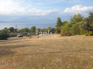 Οικόπεδο 4.500 τ.μ. για πώληση, Αχαΐα, Ρίο-thumb-13