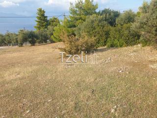 Οικόπεδο 4.500 τ.μ. για πώληση, Αχαΐα, Ρίο-thumb-14