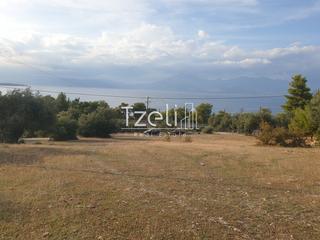 Οικόπεδο 4.500 τ.μ. για πώληση, Αχαΐα, Ρίο-thumb-16